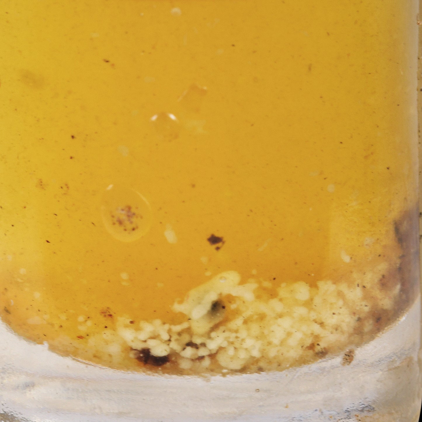 阿赞舍(虎) · 怀孕女鬼的眼泪