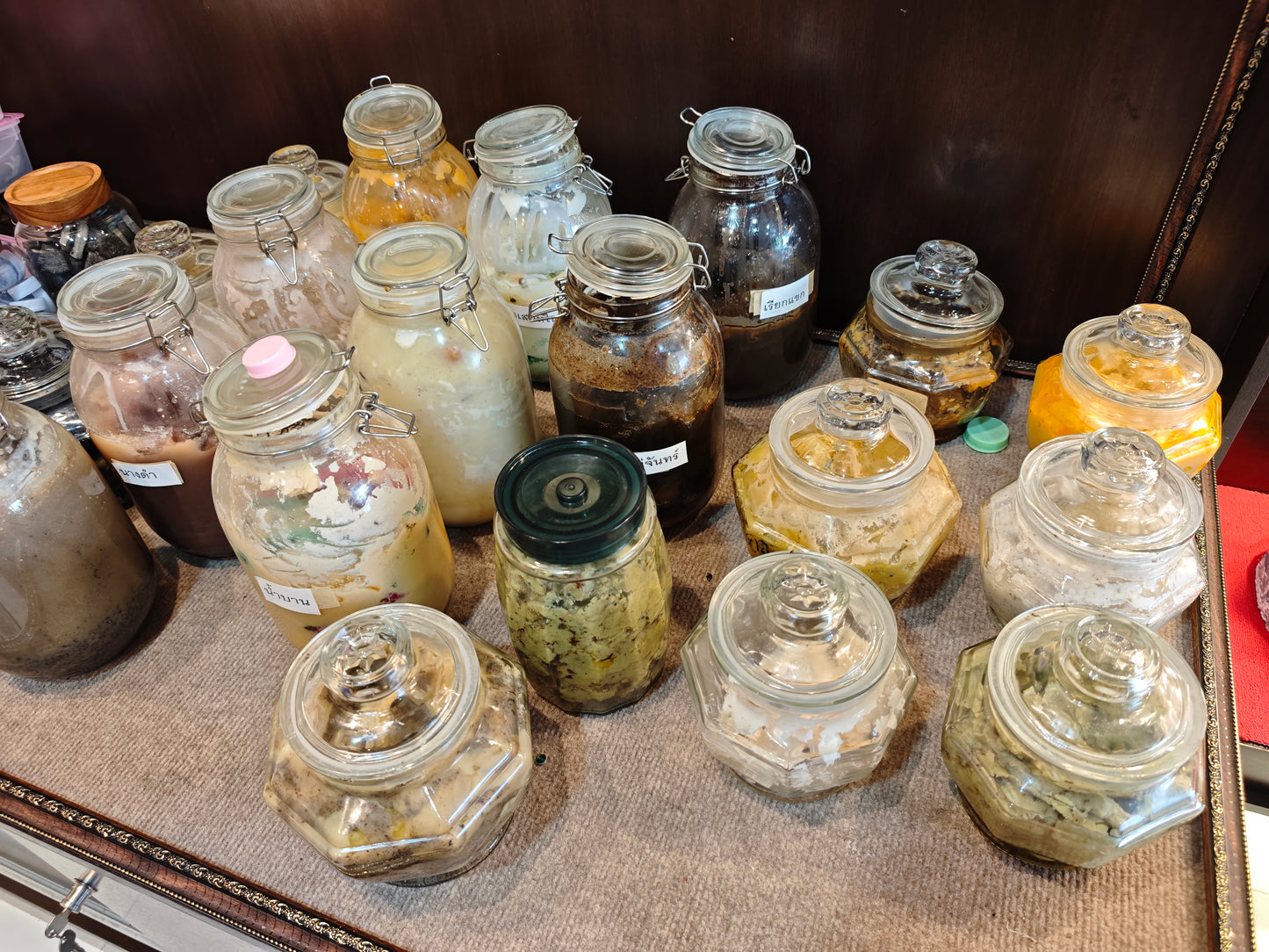 普西顿/龙婆川 · 喜鹊啄食蜜膏