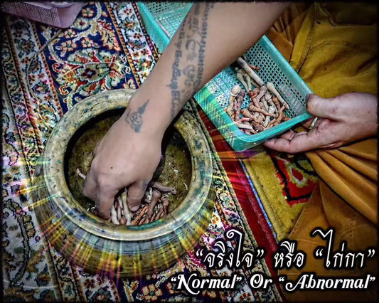 阿赞奥 · 精子巴拉吉 二期