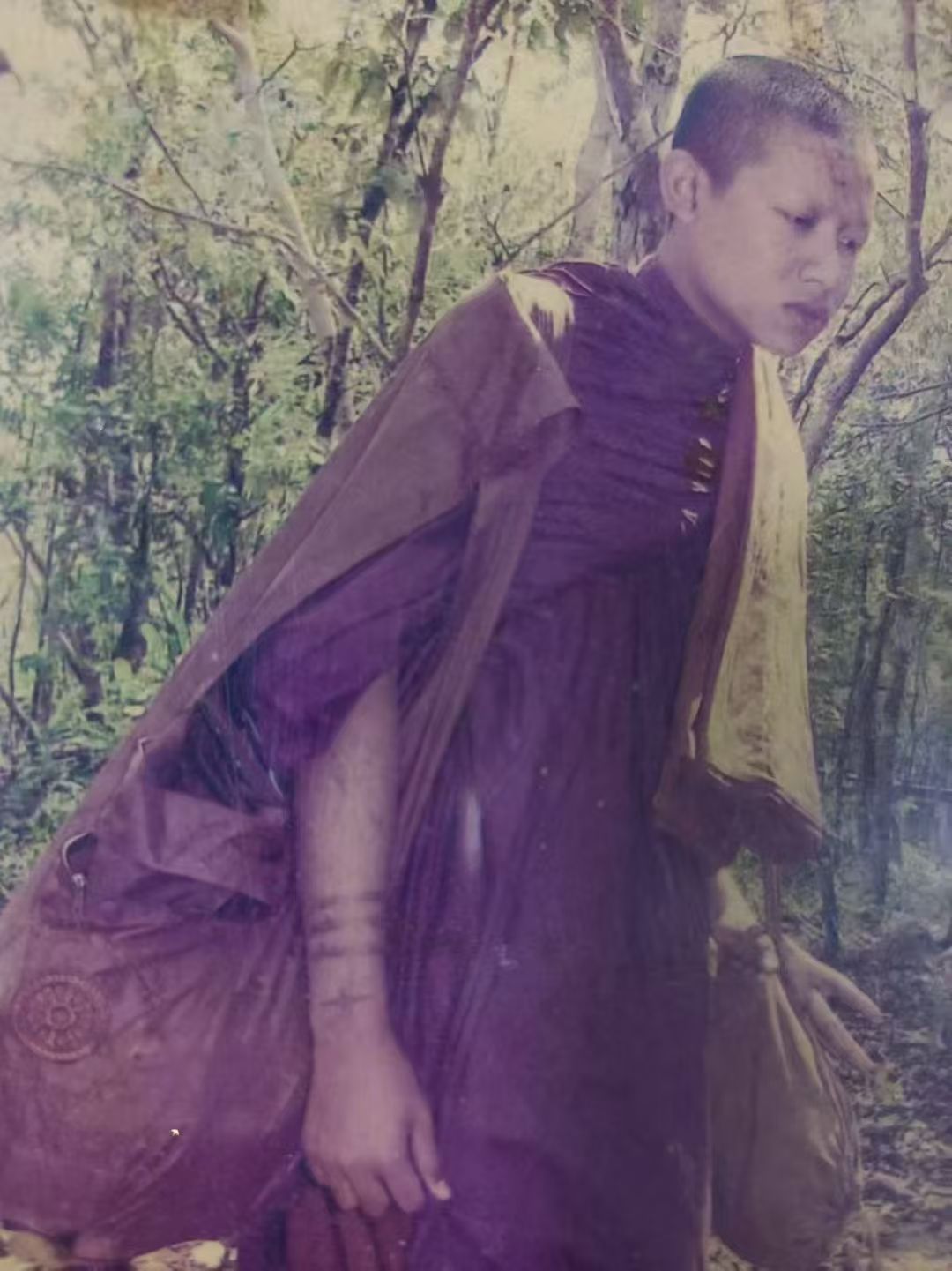 阿赞舍（虎）· 怨灵前额皮