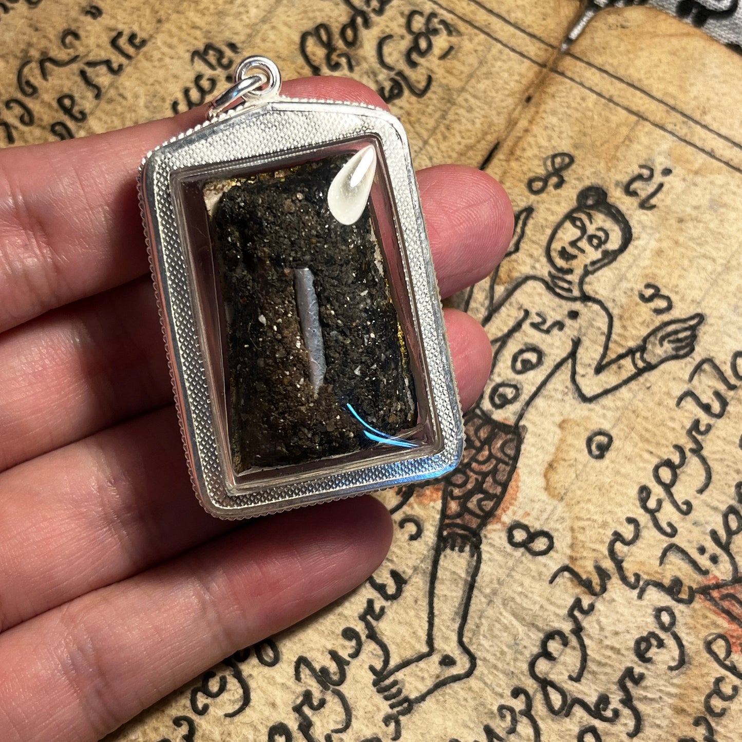 阿赞舍（虎）·  黑色沙漠