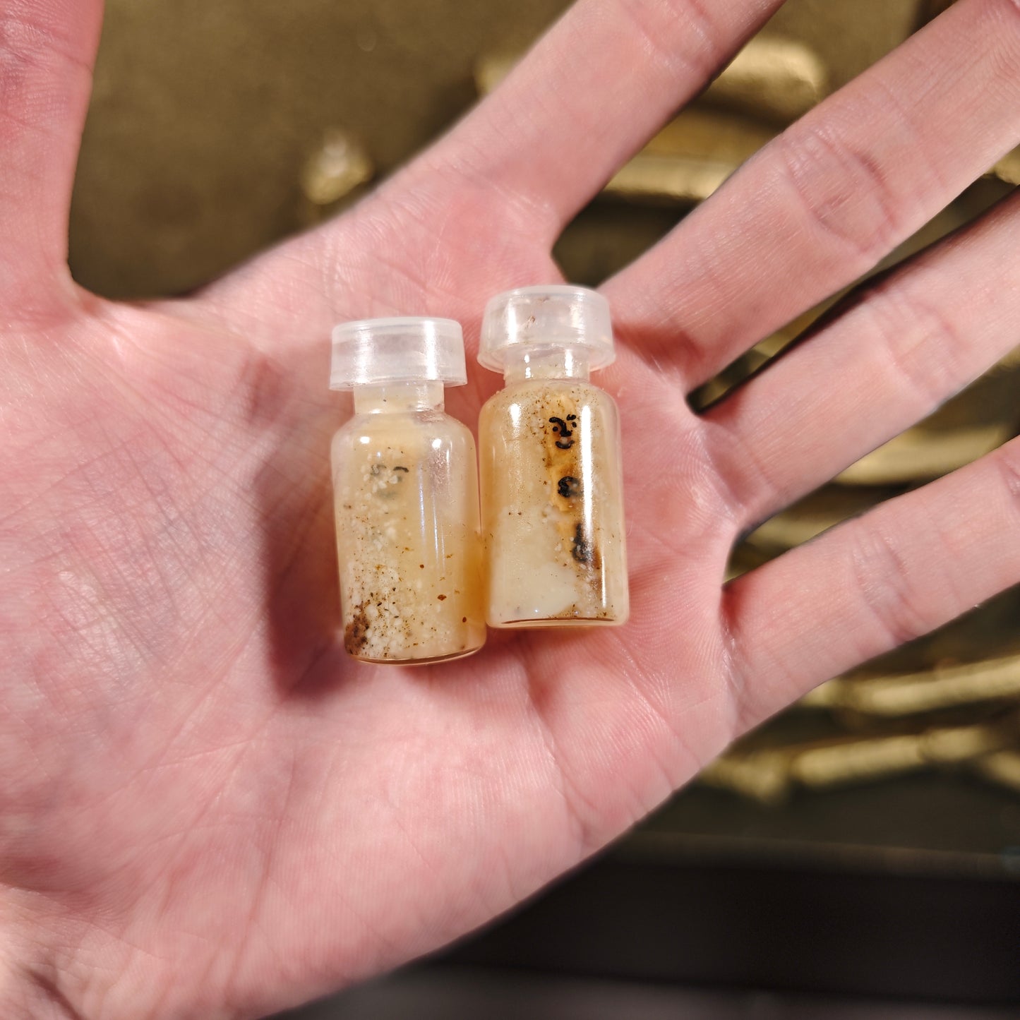 阿赞舍（虎）· 臂骨金童✨