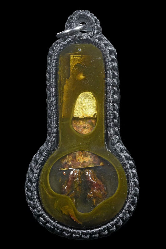 阿赞奥 · 超早期蛇爪🐍