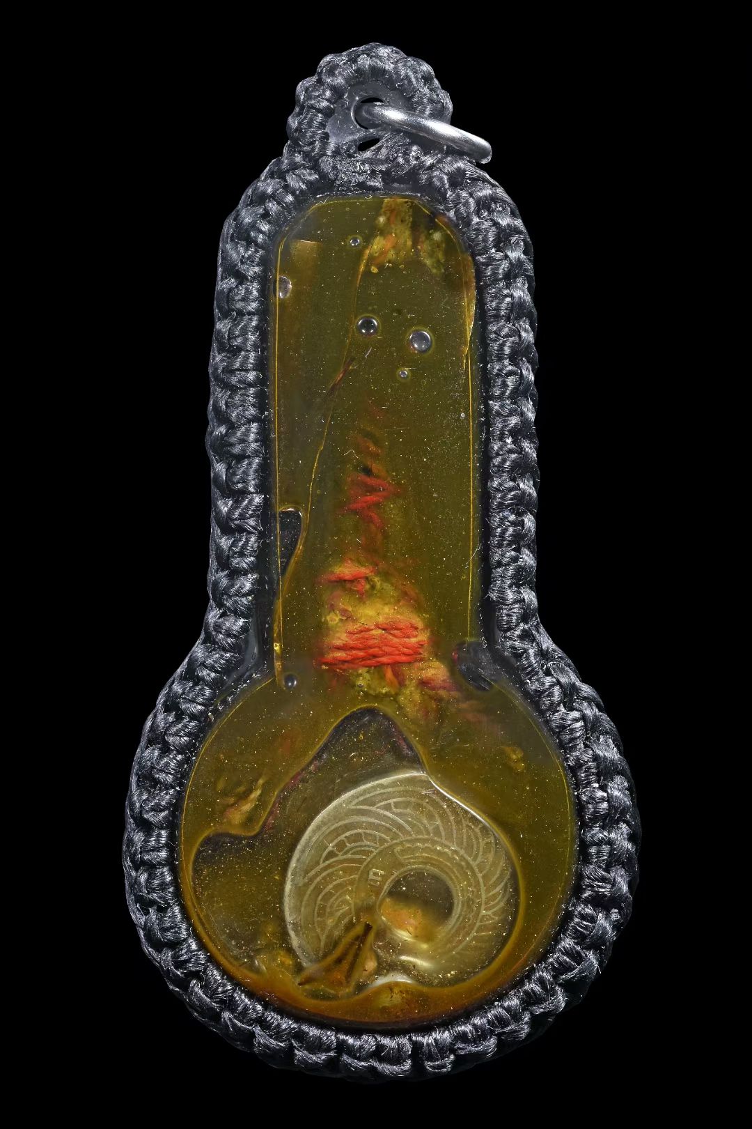 阿赞奥 · 超早期蛇爪🐍