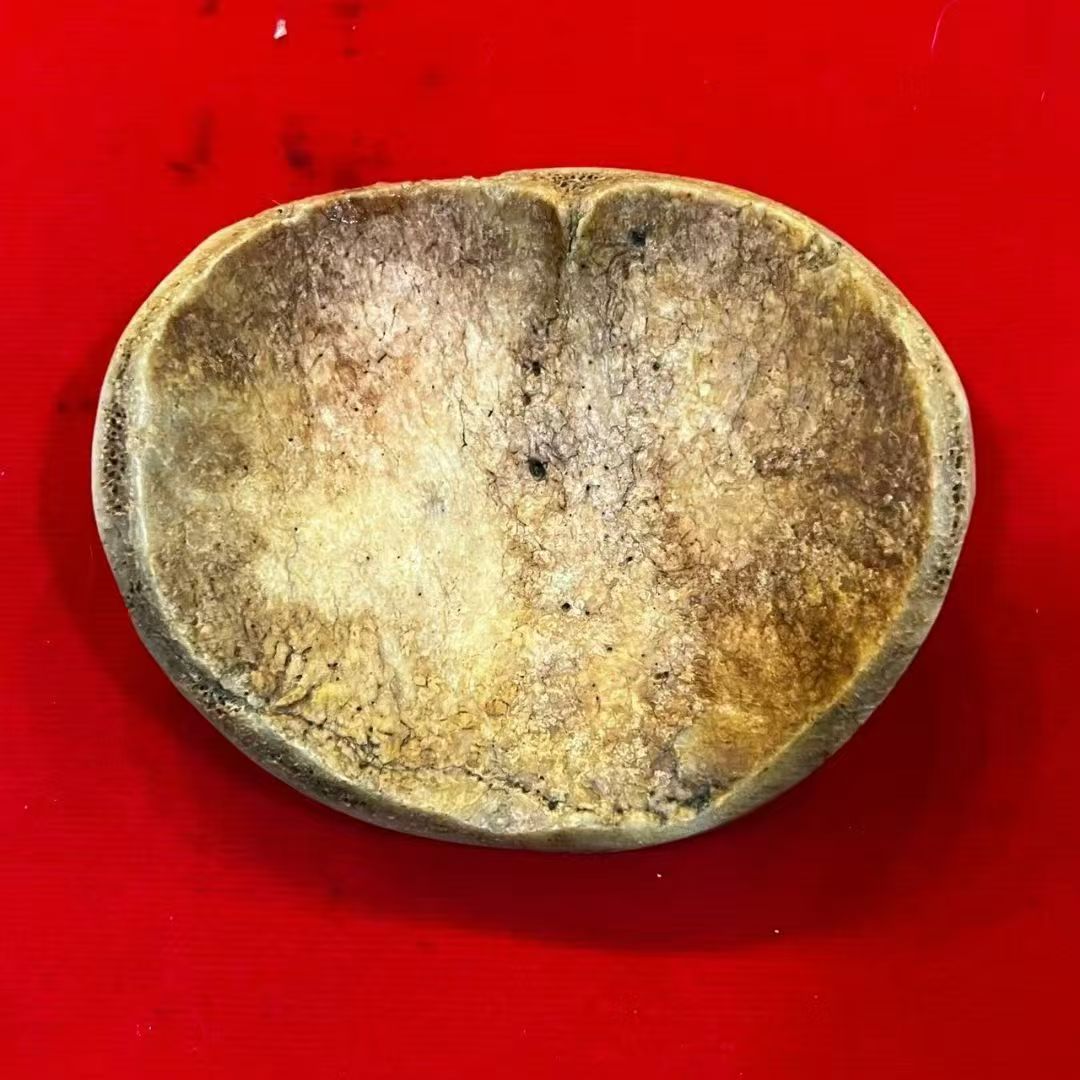 阿赞Wiang · 终极怨念宾灵