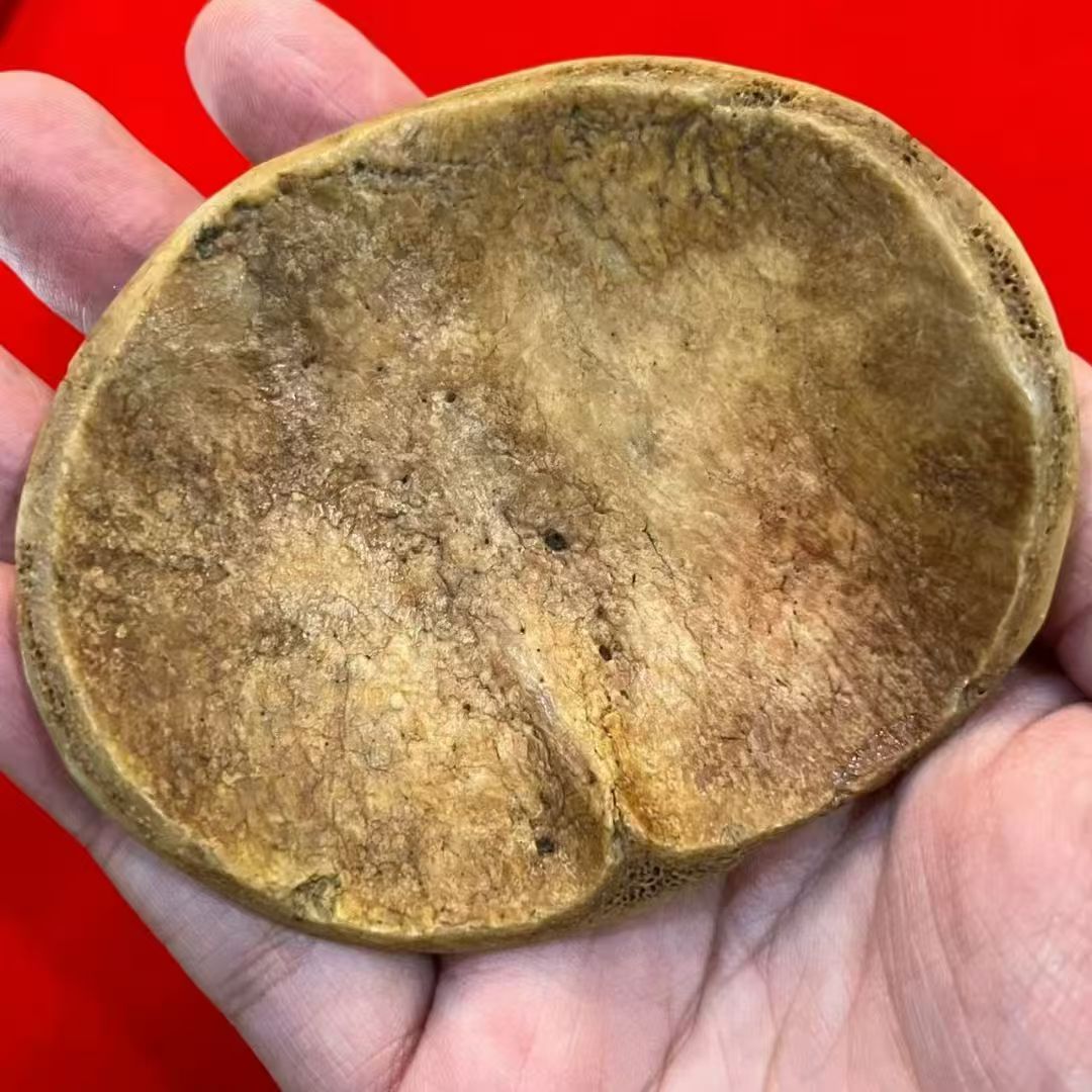 阿赞Wiang · 终极怨念宾灵