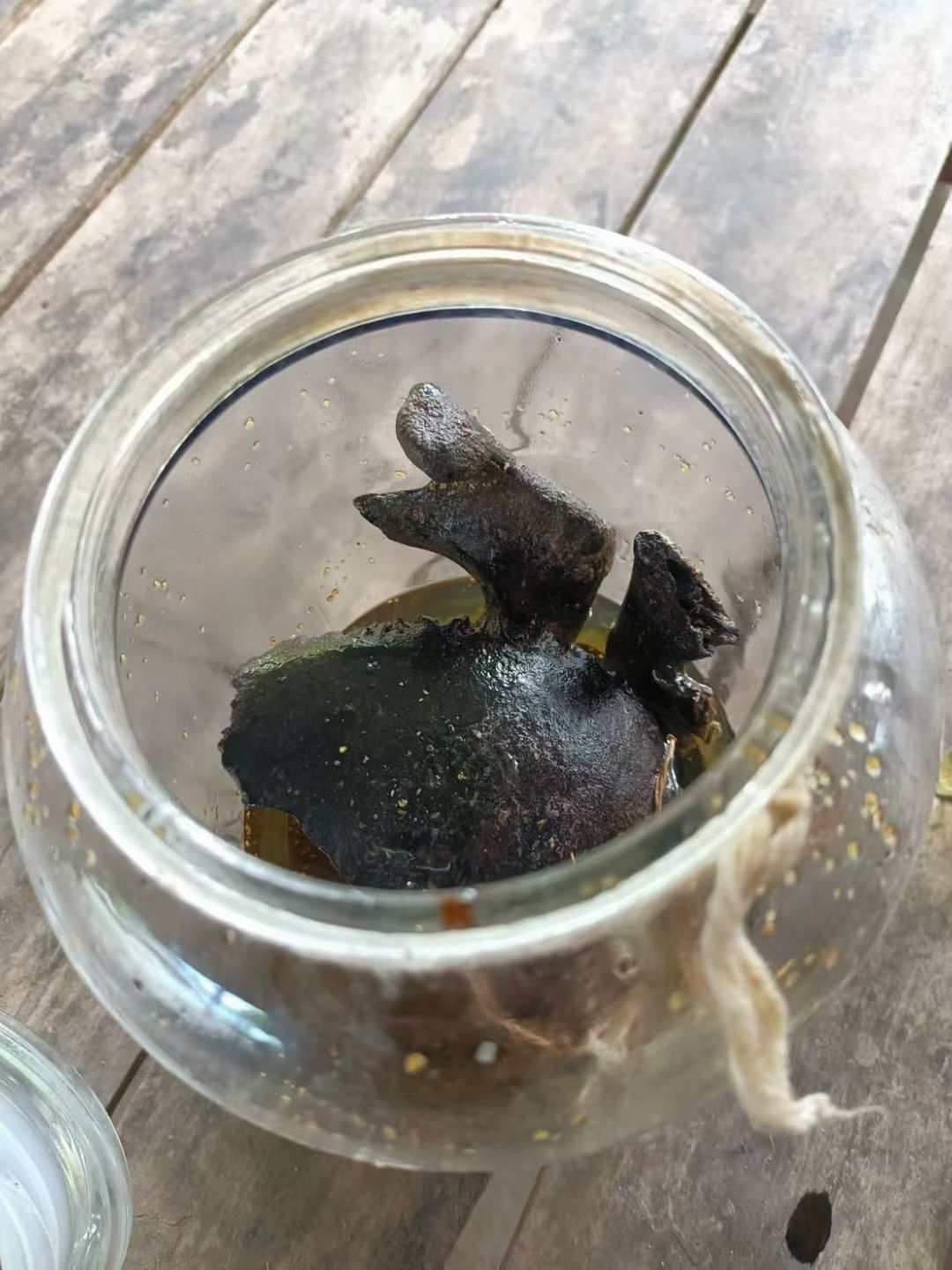 阿赞舍（虎）· 咩帕莱·布恩（供奉立尊）