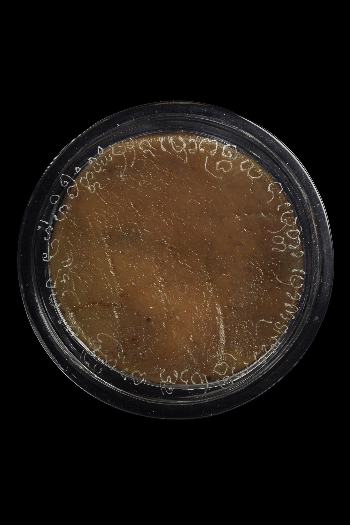 阿赞Jakkrit · 帕桑通幽魂