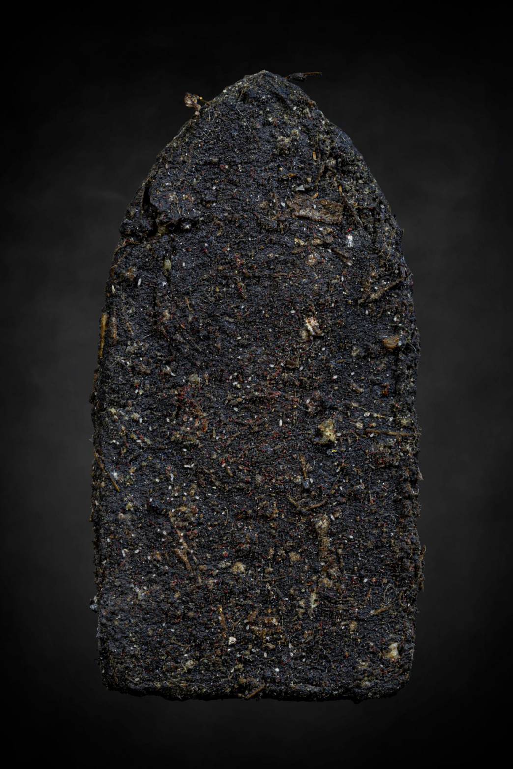 阿赞并 · 坤平撒固塔（SKT）