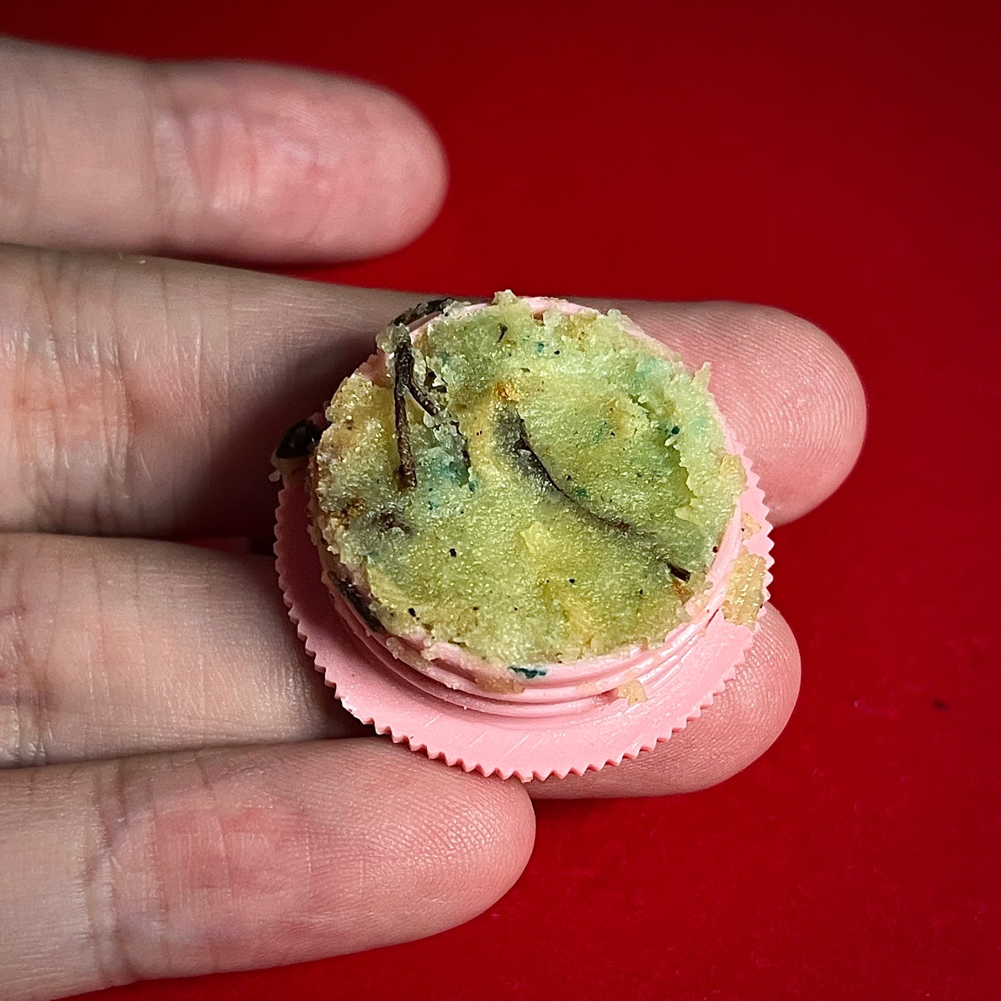 普西顿/龙婆川 · 喜鹊啄食蜜膏