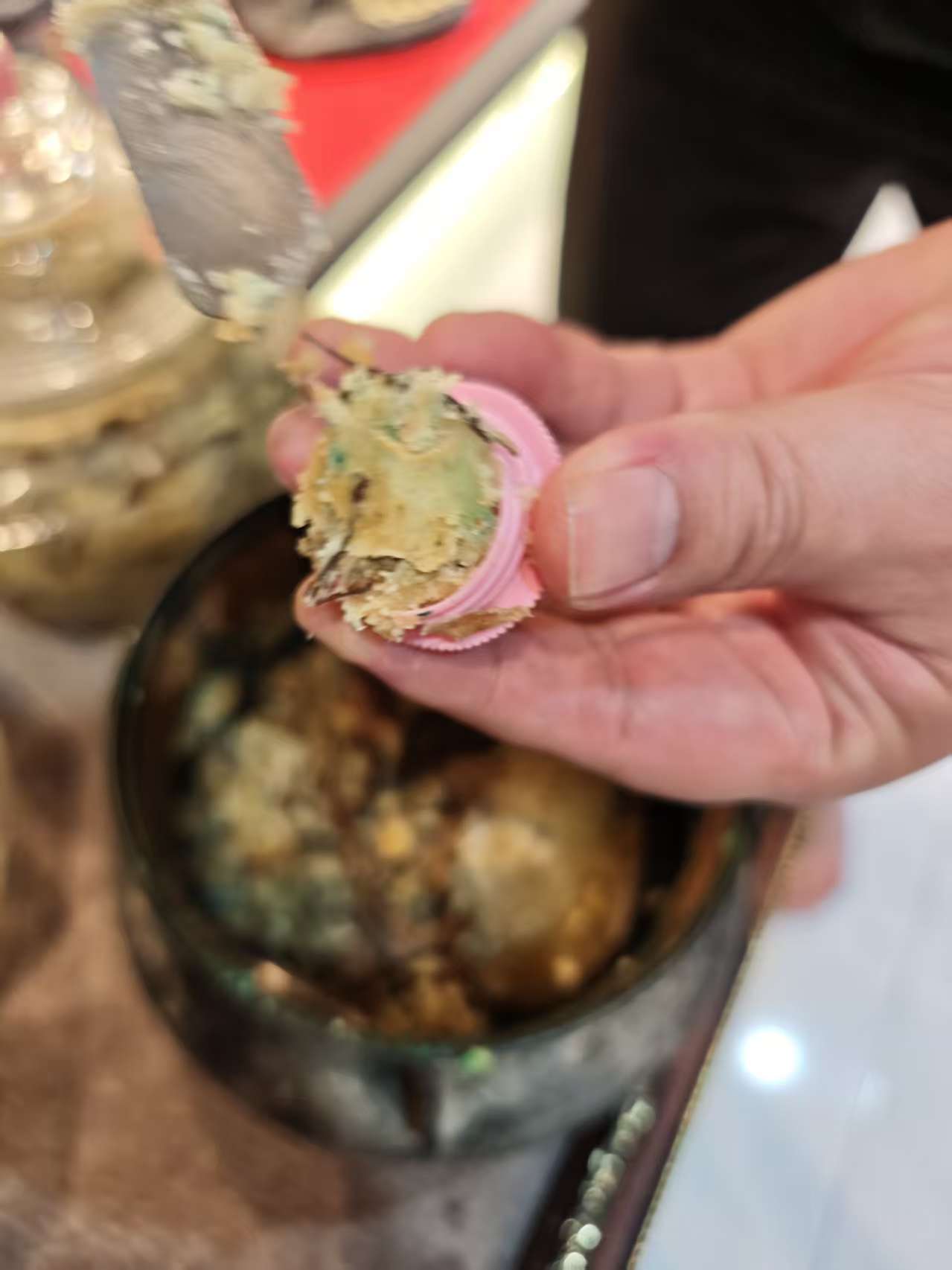 普西顿/龙婆川 · 喜鹊啄食蜜膏