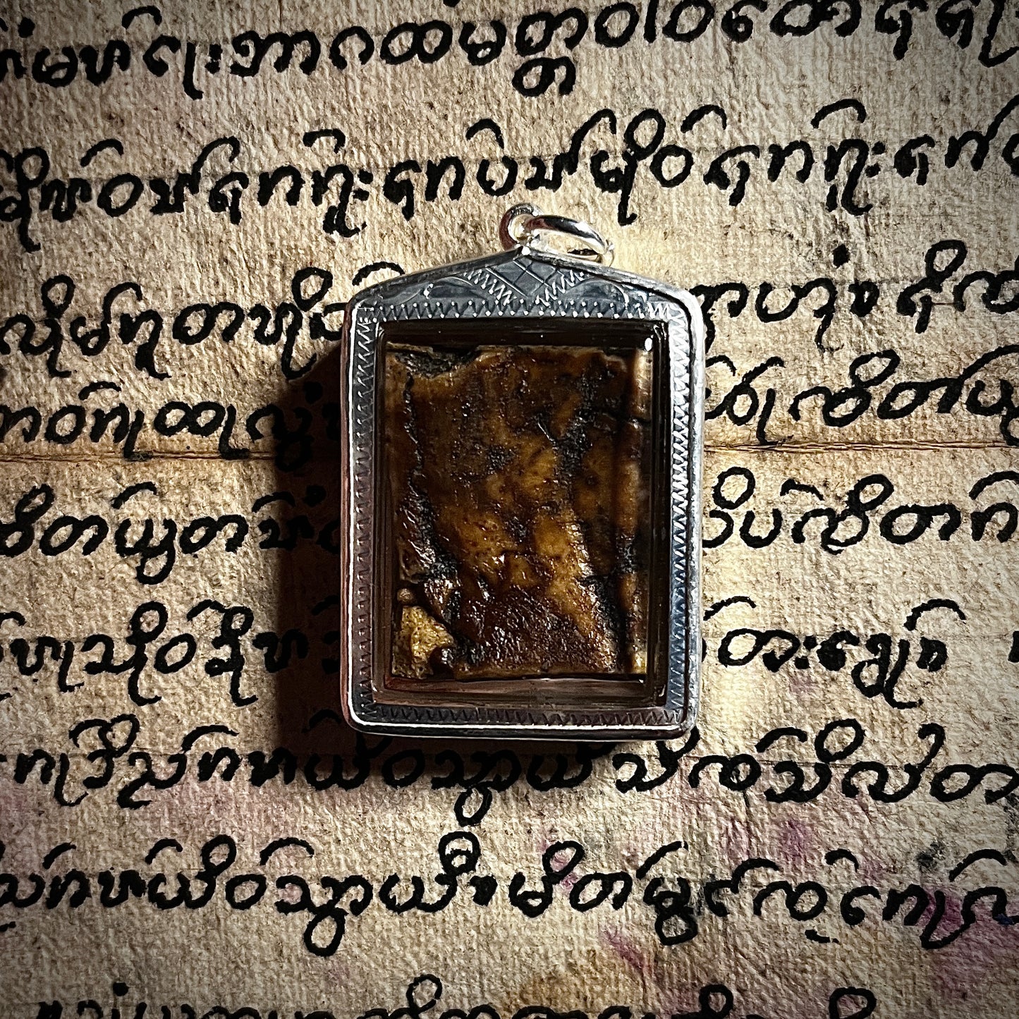 阿赞舍(虎) · 高棉魅影✨