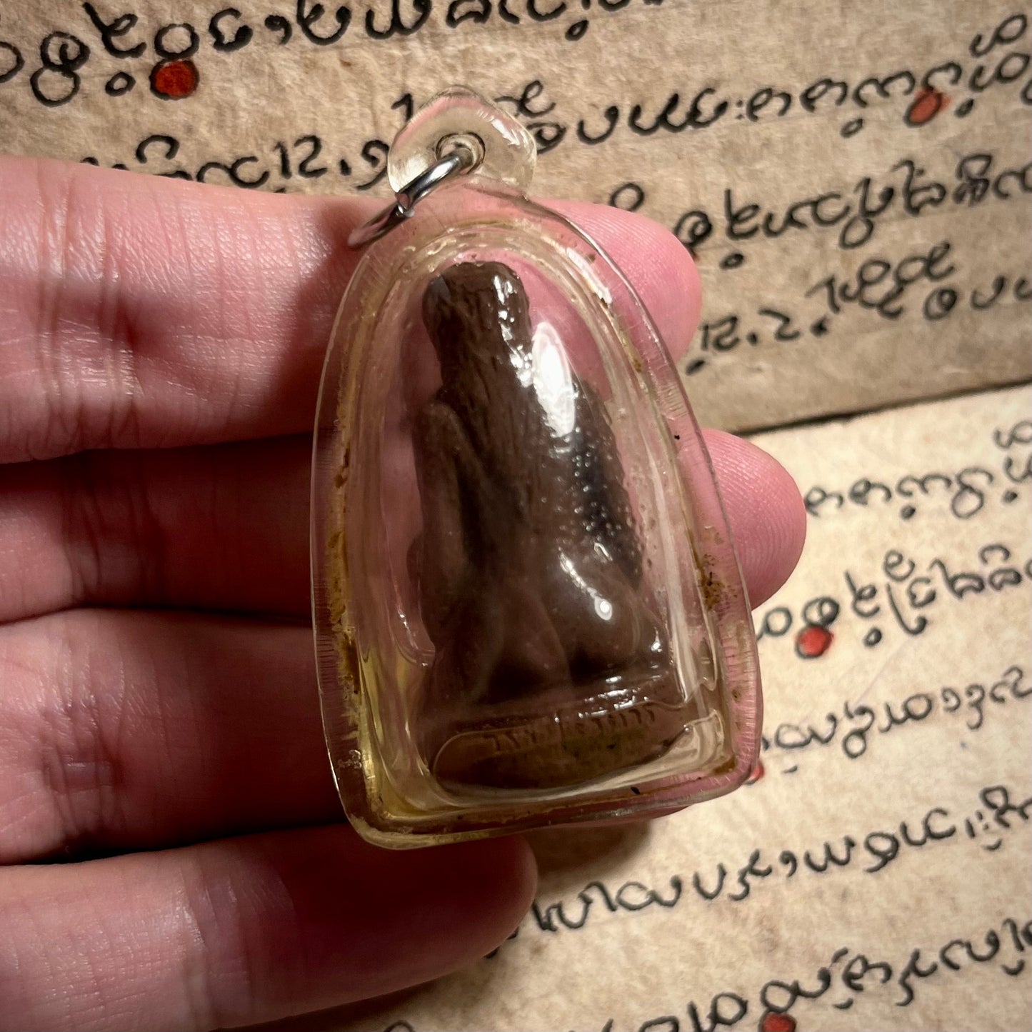 阿赞wala · 咩烫鳃（油骨）原壳