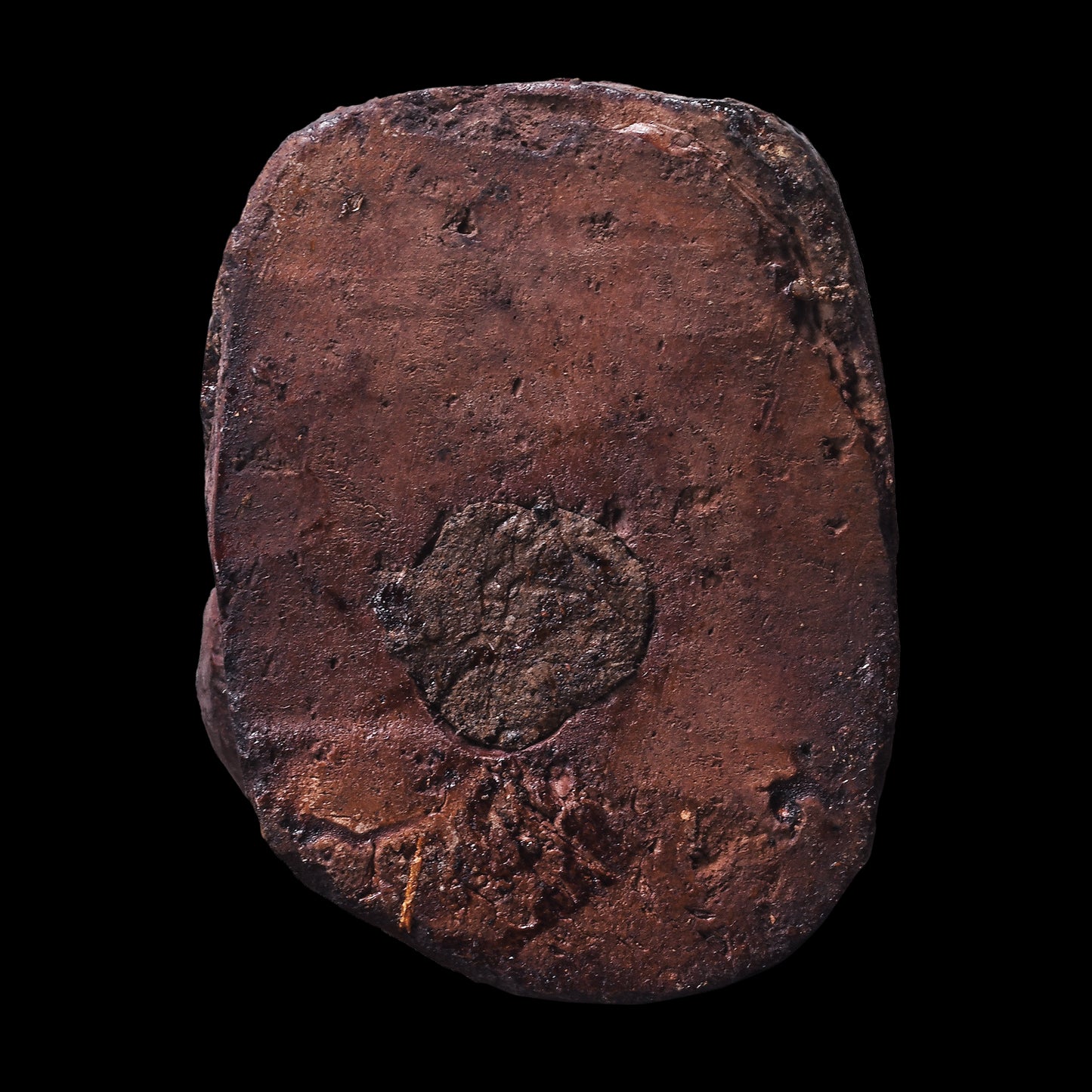 龙婆盖 · 高棉符咒版“胎盘灵童”（2561）