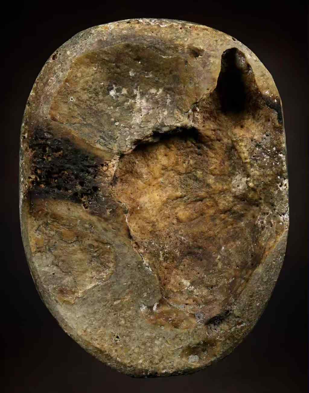 古兰纳 · 双刀神兽宾灵