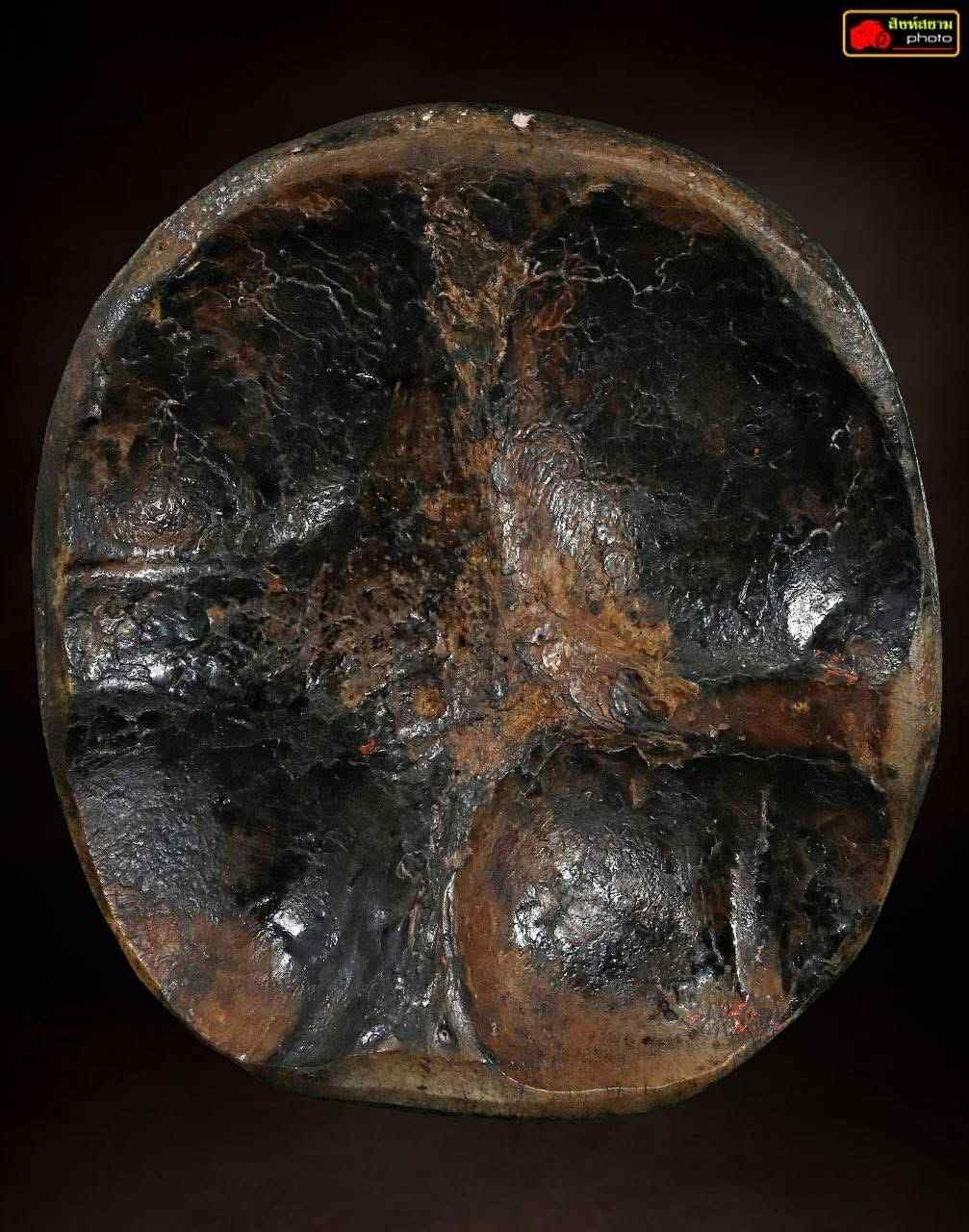 古兰纳 · 吸脐古曼宾灵