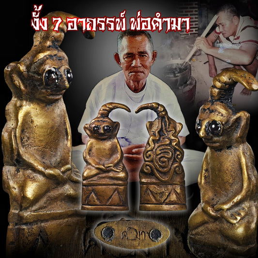 婆康玛 · 一期七阴拍婴