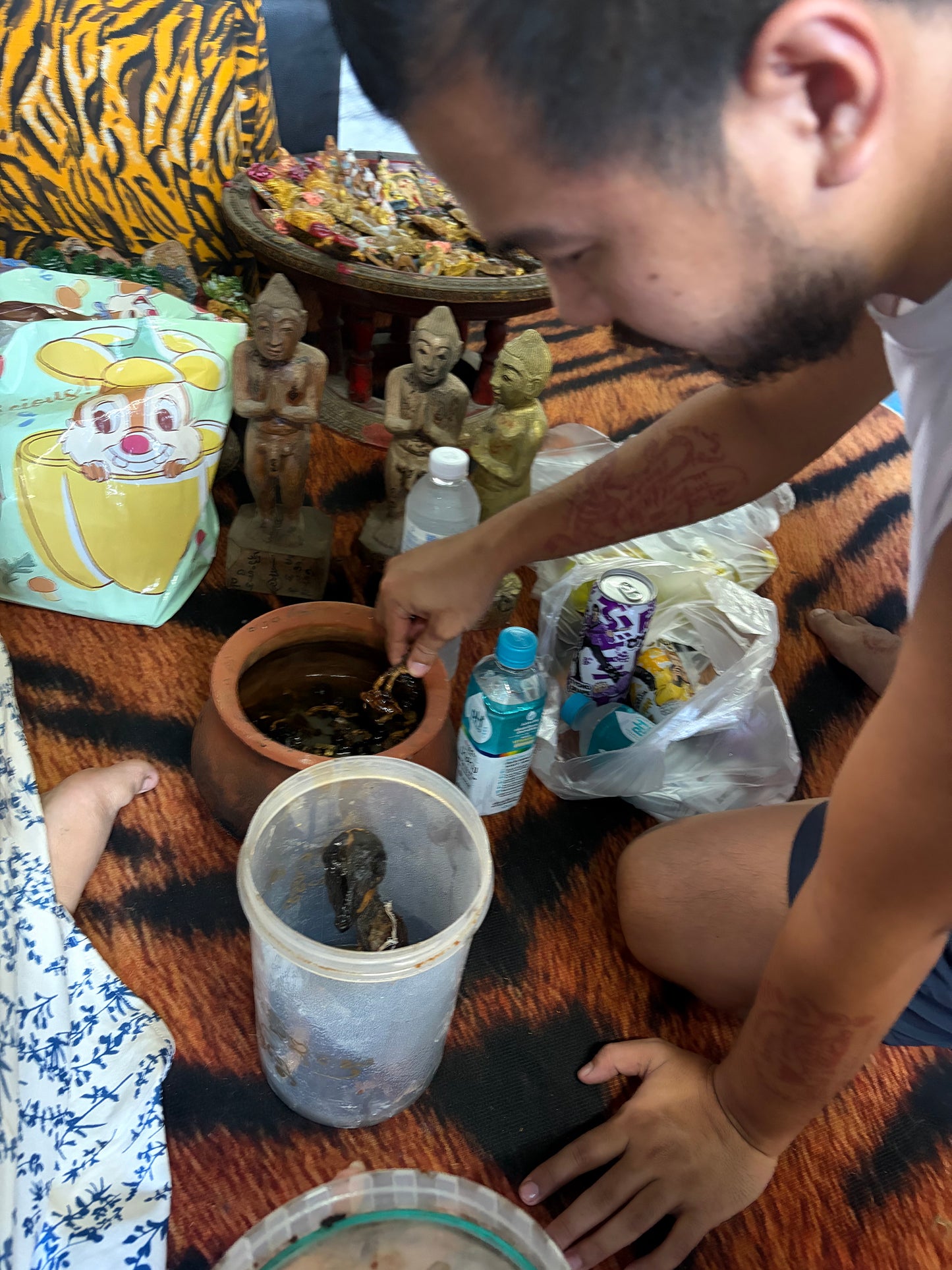 阿赞纳霖 · 羊胎灵偶 (恶魔降临)