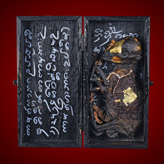 阿赞纳霖 · 羊胎灵偶 (恶魔降临)