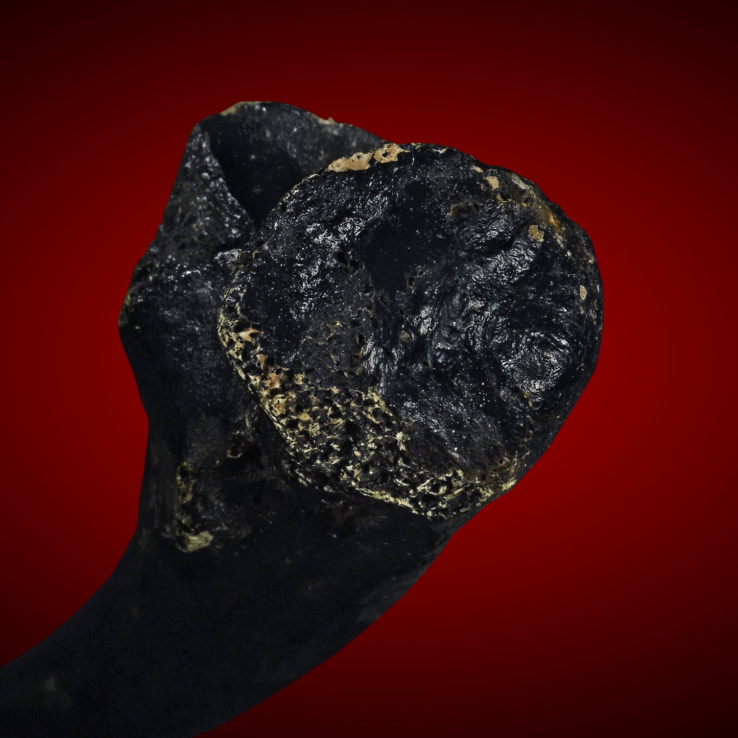 阿赞舍(虎) · 玄铁法笔 (早期随身法器)