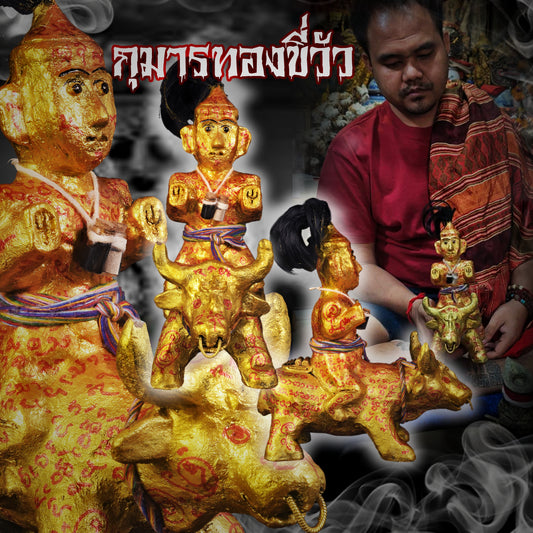 阿赞萨维特 · 古曼骑牛