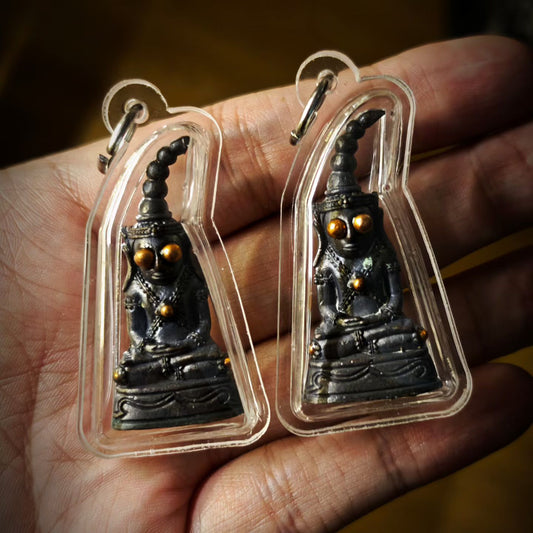 龙婆舒八舍 · 力泥眼法王拍婴 一期